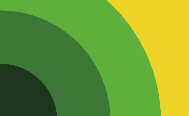 Mental health flag